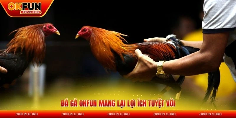 da ga okfun mang lai loi ich tuyet voi